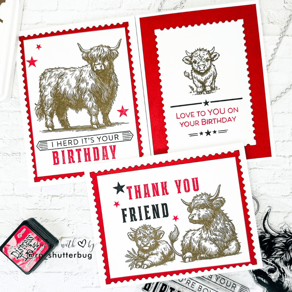 Clean and Simple Highland Cow Cards | STAMPtember® 2025 |&nbsp;SSS